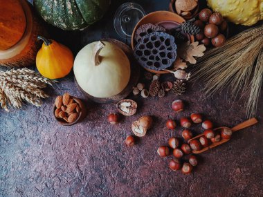 Renkli dekoratif kabaklar ve karanlık taş zemin üzerine fındık