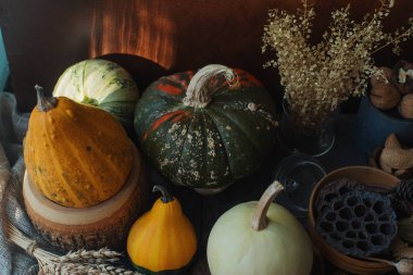 Renkli dekoratif kabaklar ve karanlık taş zemin, Sonbahar Festivali üzerine fındık