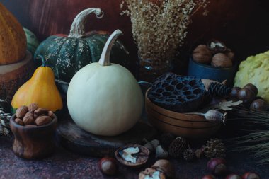 Renkli dekoratif kabaklar ve karanlık taş zemin, Sonbahar Festivali üzerine fındık