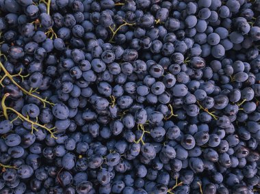 kapatmak yukarıya-in üzüm demet arka plan olarak