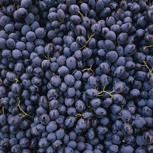 Primo Piano Dei Grappoli Uva Come Sfondo — Foto Stock