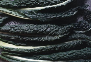 Ham yeşil organik Lacinato Kale karanlık beton zemin üzerine