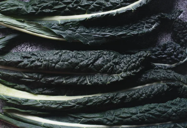 Ham yeşil organik Lacinato Kale karanlık beton zemin üzerine