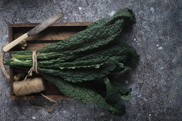 karanlık beton arka plan üzerinde organik Lacinato lahana yaprakları çiğ yeşil üstten görünüm