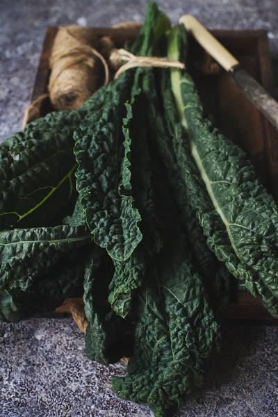 karanlık beton arka plan üzerinde organik Lacinato lahana yaprakları çiğ yeşil üstten görünüm