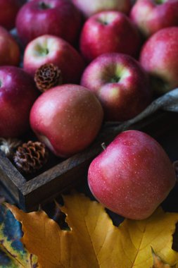 ahşap kutuda Olgun kırmızı elma üst görünümü 