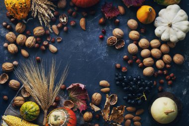 Koyu taş masa üzerinde dekoratif kabak, mısır, fındık, üzüm ve buğday ile Sonbahar veya şükran arka plan