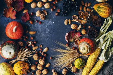 Koyu taş masa üzerinde dekoratif kabak, mısır, fındık, üzüm ve buğday ile Sonbahar veya şükran arka plan