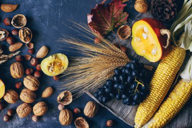 Koyu taş masa üzerinde dekoratif kabak, mısır, fındık, üzüm ve buğday ile Sonbahar veya şükran arka plan