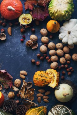Koyu taş masa üzerinde dekoratif kabak, mısır, fındık, üzüm ve buğday ile Sonbahar veya şükran arka plan