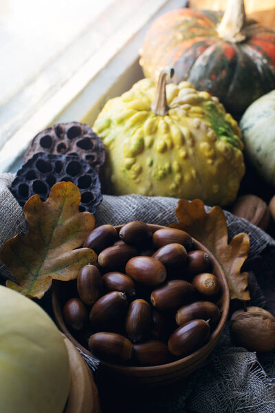 Autumn background with decorative pumpkin, corn, walnuts, autumn leaves, acorns on dark stone table