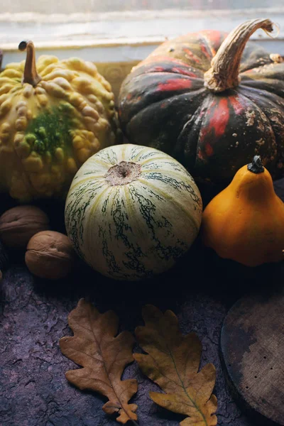 Fondo Otoño Con Calabaza Decorativa Maíz Nueces Hojas Otoño Bellotas — Foto de Stock