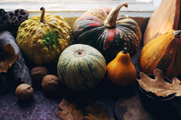 Fondo Otoño Con Calabaza Decorativa Maíz Nueces Hojas Otoño Bellotas —  Fotos de Stock