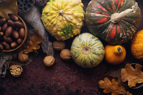 Fondo Otoño Con Calabaza Decorativa Maíz Nueces Hojas Otoño Bellotas —  Fotos de Stock