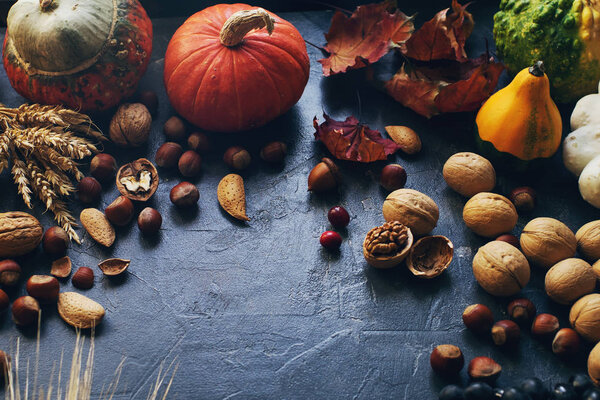 Autumn or thanksgiving background with decorative pumpkin, corn, nuts, grapes and wheat on dark stone table