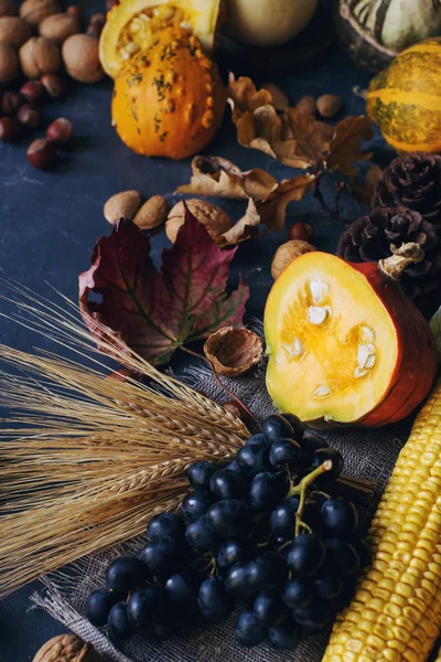 Fondo de otoño o de acción de gracias con calabaza decorativa, maíz, nueces, uvas y trigo en la mesa de piedra oscura —  Fotos de Stock