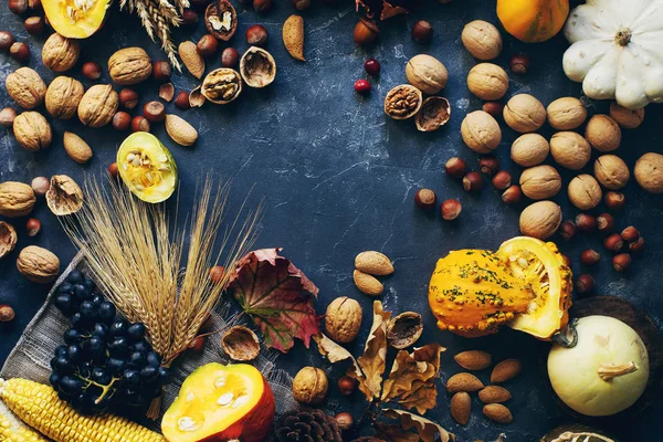 Autumn or thanksgiving background with decorative pumpkin, corn, nuts, grapes and wheat on dark stone table