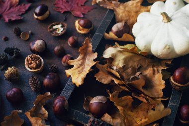 Koyu taş masada dekoratif kabak, meşe palamudu, elma, fındık ve sonbahar yaprakları ile Sonbahar arka plan