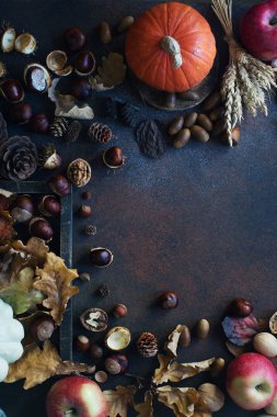 Koyu taş masada dekoratif kabak, meşe palamudu, elma, fındık ve sonbahar yaprakları ile Sonbahar arka plan