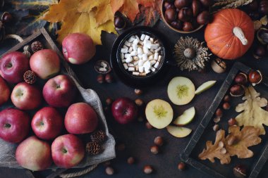 marshmallow, dekoratif kabak, meşe palamudu, elma, fındık ve koyu taş masada sonbahar yaprakları ile kakao fincan