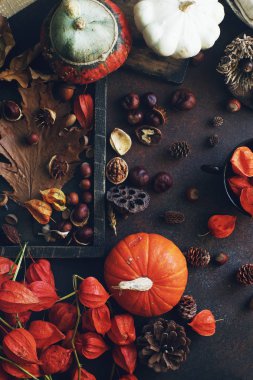 Koyu taş masada dekoratif kabak, meşe palamudu, elma, fındık ve sonbahar yaprakları ile Sonbahar arka plan