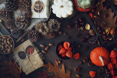 Koyu taş masada dekoratif kabak, meşe palamudu, elma, fındık ve sonbahar yaprakları ile Sonbahar arka plan