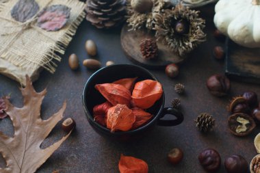 Koyu taş masada dekoratif kabak, meşe palamudu, elma, fındık ve sonbahar yaprakları ile Sonbahar arka plan