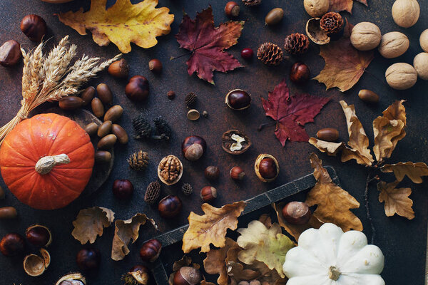Autumn background with decorative pumpkin, acorns, apples, nuts and autumn leaves on dark stone table