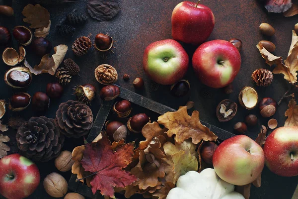Koyu taş masada dekoratif kabak, meşe palamudu, elma, fındık ve sonbahar yaprakları ile Sonbahar arka plan