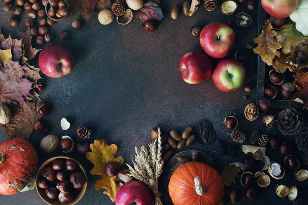 Koyu taş masada dekoratif kabak, meşe palamudu, elma, fındık ve sonbahar yaprakları ile Sonbahar arka plan