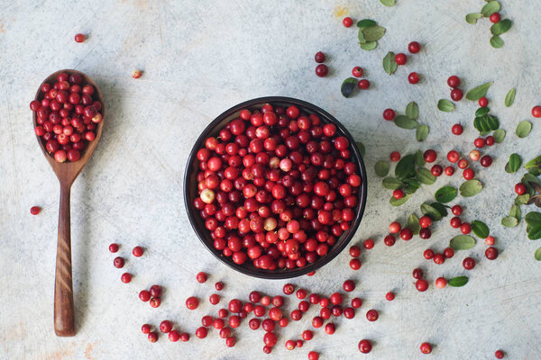 Raw organic fresh cowberry or lingonberry in bowl and wooden spoon on white table, healthy lifestyle concept
