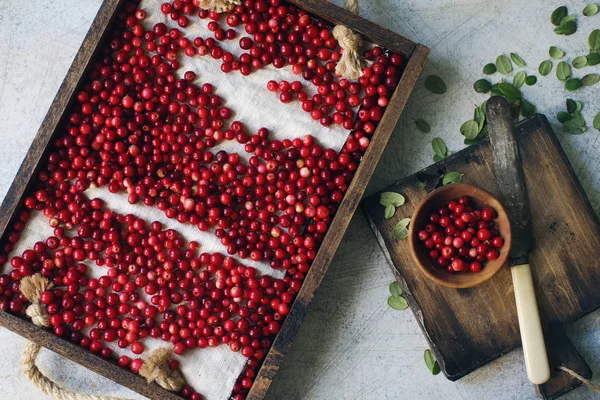 Wooden Tray Raw Organic Fresh Cowberry Lingonberry — Stock Photo, Image