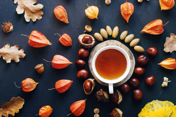 Cozy Composition Hot Tea Dried Autumn Leaves Nuts Dark Stone — Stock Photo, Image