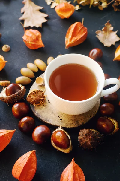 Cozy Composition Hot Tea Dried Autumn Leaves Nuts Dark Stone — Stock Photo, Image