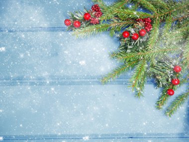 Noel arka plan ve koniler dekorasyon ahşap tahta üzerinde çam dalları ile