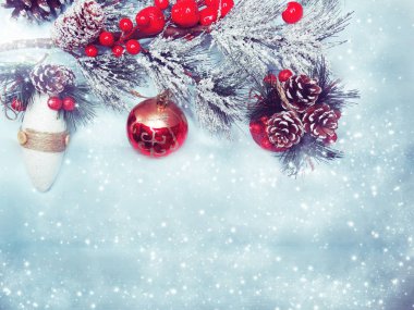 Noel köknar ağacı dalı koniler ve kar garland ışıkları ile arka plan üzerinde topla