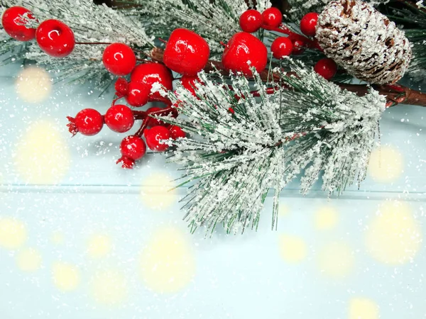 Kerstmis Vertakking Van Beslissingsstructuur Van Spar Van Achtergrond Met Kegels — Stockfoto