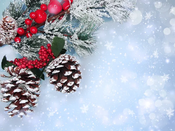 Vánoční Pozadí Jedle Větev Stromu Kužely Sníh Dřevěné Desce Blue — Stock fotografie