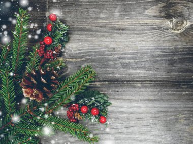 Noel arka plan ve koniler dekorasyon ahşap tahta üzerinde çam dalları ile