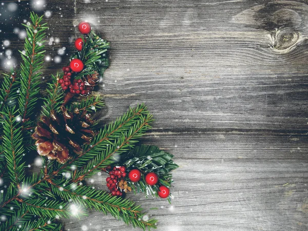 Noel arka plan ve koniler dekorasyon ahşap tahta üzerinde çam dalları ile