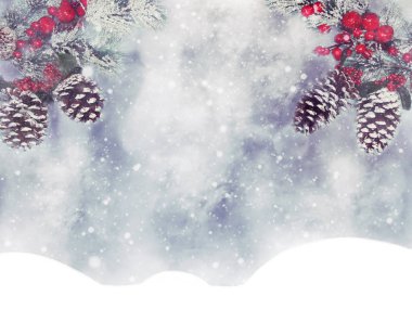 Kış Noel arkaplanında kar köknar dalları donmuş dutlar