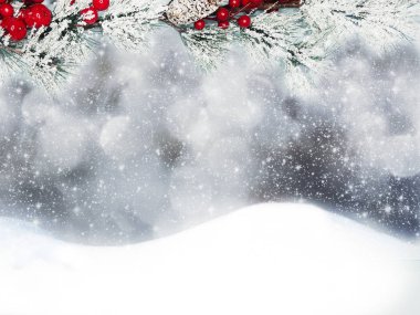 Kış Noel arkaplanında kar köknar dalları donmuş dutlar