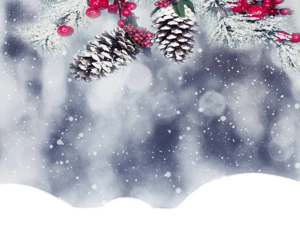 Winter Christmas Background Snow Fir Branches Cones Frozen Berries — Stock Photo, Image