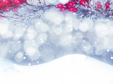 Kış Noel arkaplanında kar köknar dalları donmuş dutlar