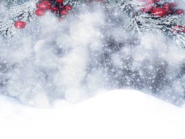 Kış Noel arkaplanında kar köknar dalları donmuş dutlar