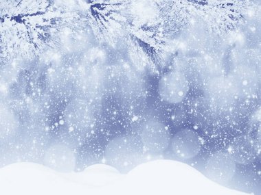 Kış Noel arkaplanında kar köknar dalları donmuş dutlar