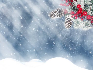 Kış Noel arkaplanında kar köknar dalları donmuş dutlar