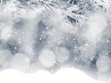 Kış Noel arkaplanında kar köknar dalları donmuş dutlar