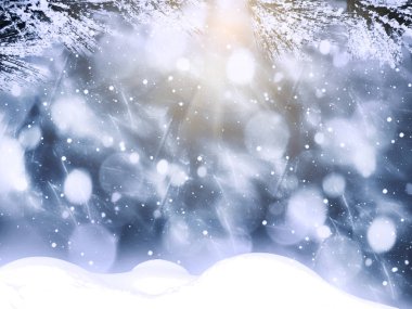 Kış Noel arkaplanında kar köknar dalları donmuş dutlar