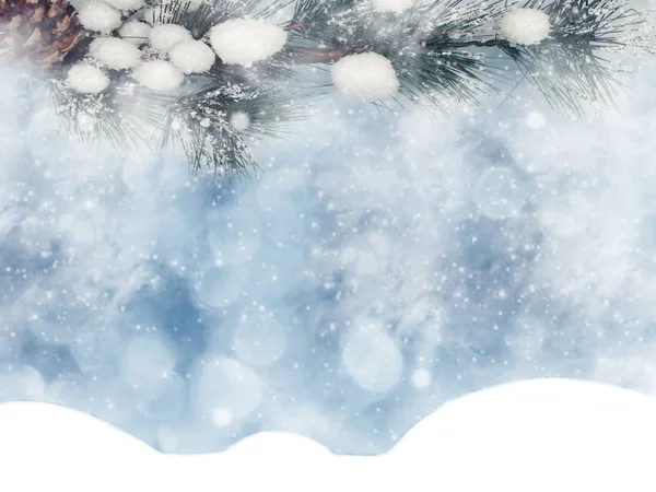 Зимний Рождественский Фон Ветками Снега Конусы Замороженные Ягоды — стоковое фото